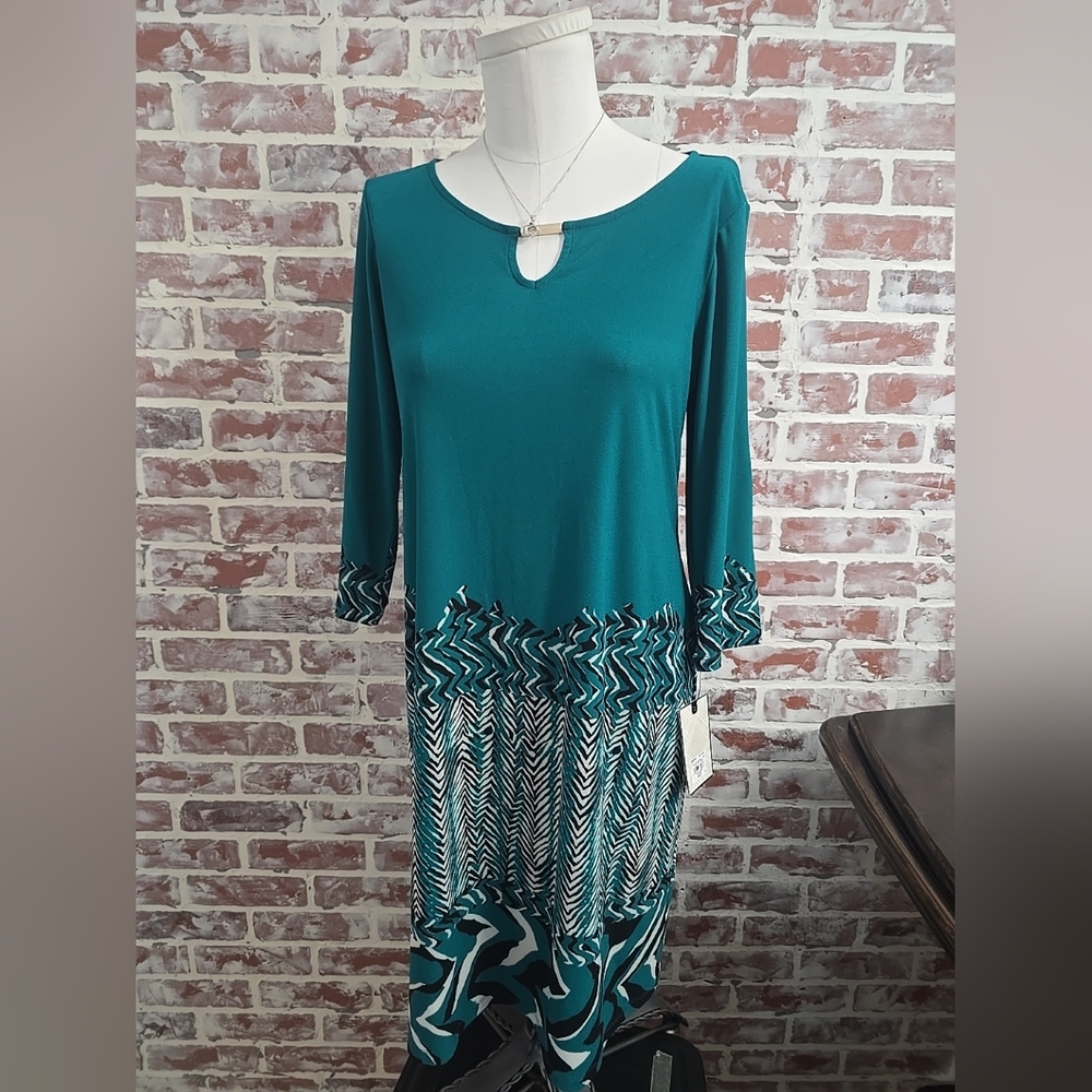 New 🔥 Dana Buchanan Women's Dress sz Large